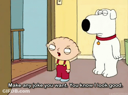 Stewie And Brian Saying Make Any Joke You Want GIF