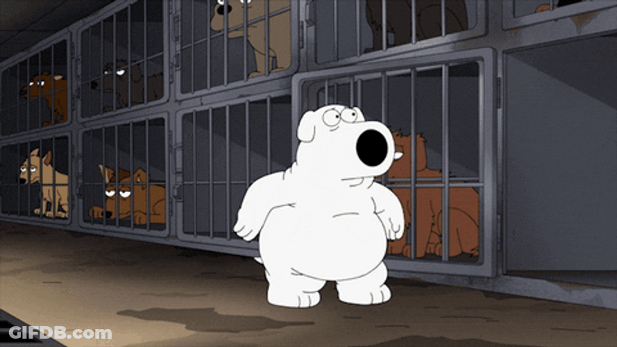 Stewie Best Friend Brian Griffin Top Dancing GIF