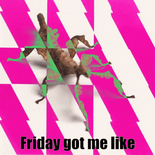 Stick Bug Retro GIF