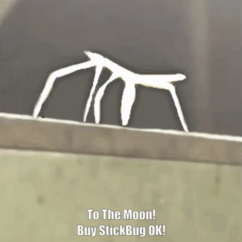 Stick Bug To The Moon GIF