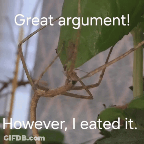 Stick Insect Great Argument However I Ate It GIF