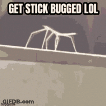 Stick Saying Get Stick Bugged Lol GIF