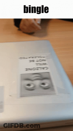 Sticker On Laptop That Says Bingle GIF