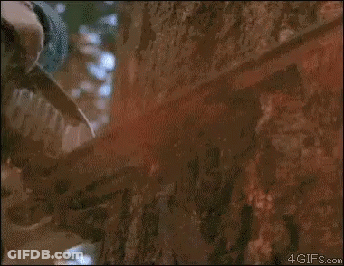 Stihl Chainsaw Close Up GIF