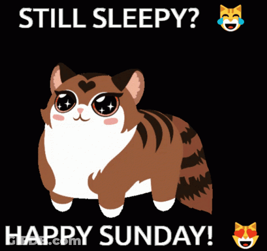 Still Sleepy Kitty Cute Sunday GIF