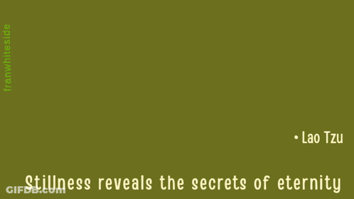 Stillness Reveals The Secrets Of Eternity By Lao Tzu With A Deer In The Background GIF