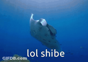Stingray In Ocean Saying LOL Shibe GIF