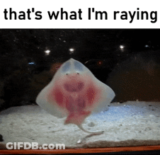 Stingray In Tank Saying That's What I'm Saying GIF