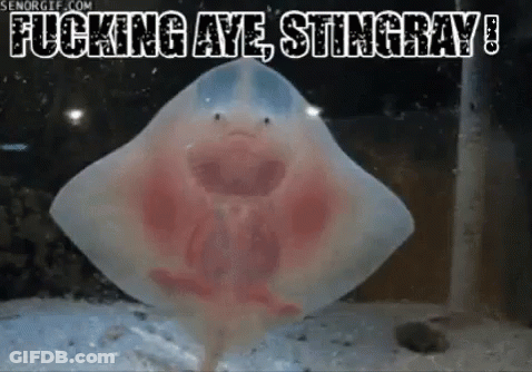 Stingray Saying Fucking Aye GIF