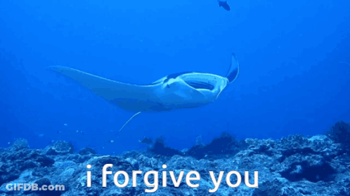 Stingray Swimming With I Forgive You GIF