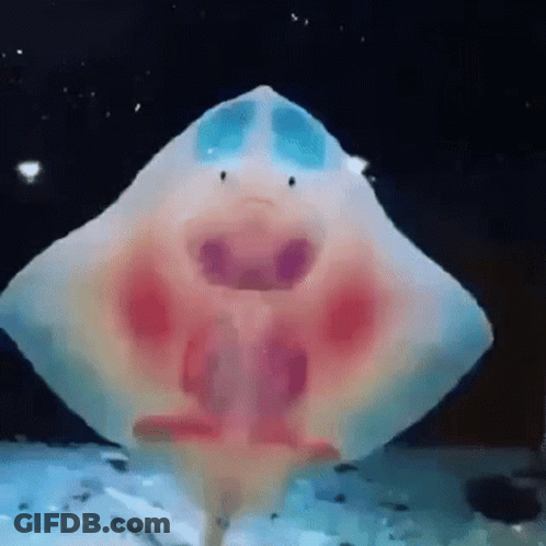 Stingray With Painted Face Swimming In Tank GIF