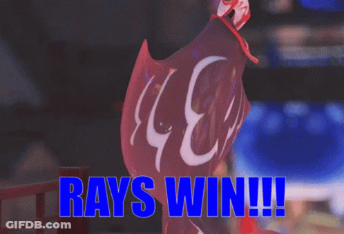 Stingray With Rays Win GIF