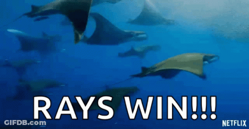 Stingrays Swimming Saying Rays Win GIF