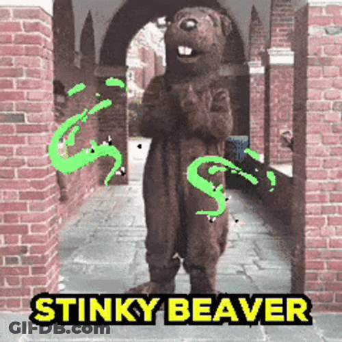 Stinky Beaver In Suit Dancing GIF