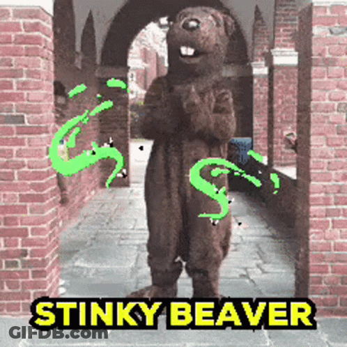 Stinky Beaver Mascot In Front Of Brick Archway GIF