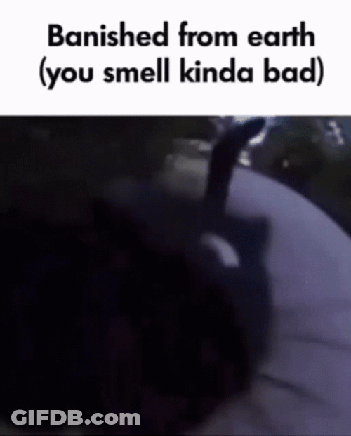 Stinky Cat Banished From Earth Meme GIF