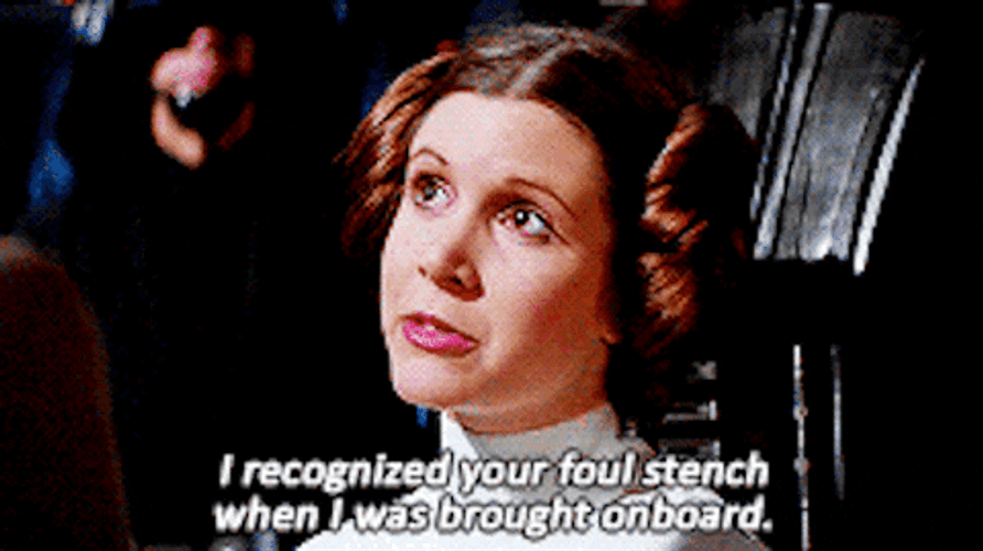 Stinky Foul Stench Princess Leia Star Wars GIF