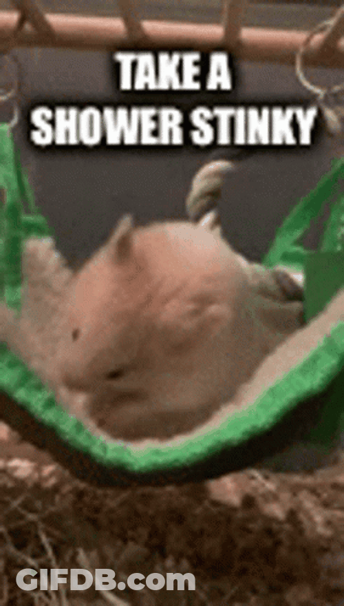 Stinky Mouse Take A Shower GIF