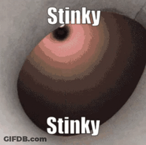 Stinky Naughty Cat Peeking GIF