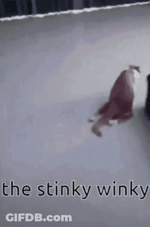 Stinky Winky Crawling Ginger Cat GIF