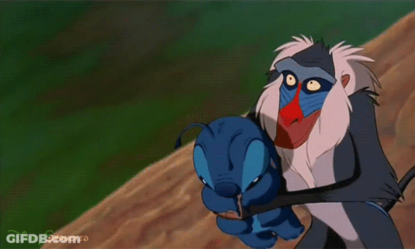 Stitch Love Mufasa In Lion King GIF