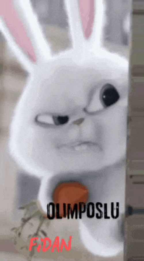Stmfdn Olmfdn GIF