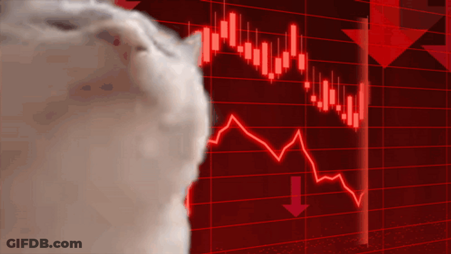 Stock Market Crash White Cat Head Bobbing GIF