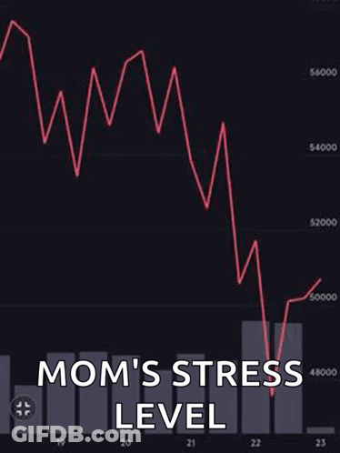 Stock Market Graph Mom's Stress Level GIF