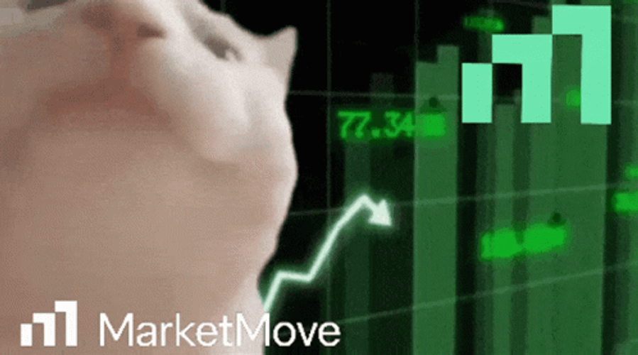 Stock Market Move Up Funny Cat GIF