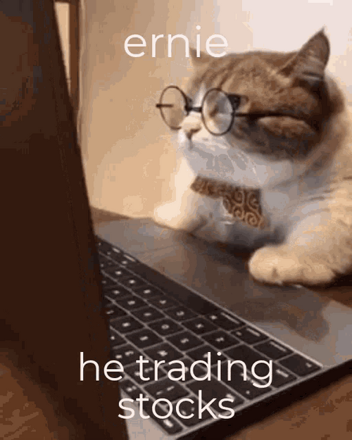 Stocks Cute Busy Cat Day Trading GIF
