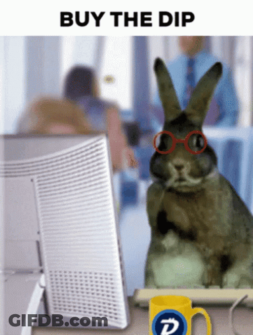 Stocks Funny Busy Bunny Buy The Dip GIF