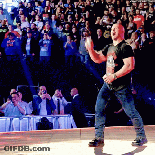 Stone Cold Beer Encouraging Crowd GIF