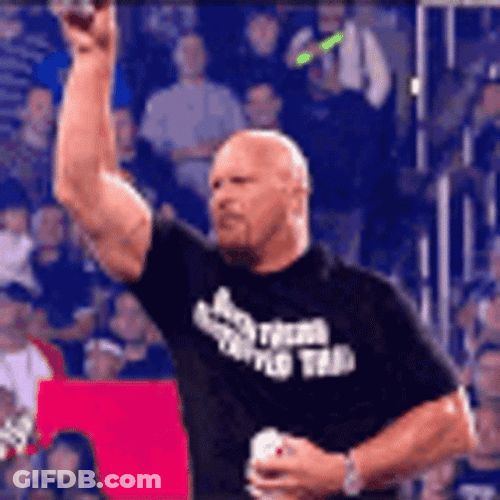 Stone Cold Beer GIF