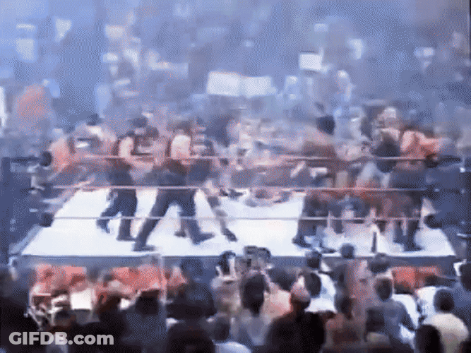 Stone Cold Joining Chaotic Fight GIF