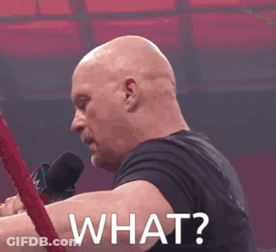 Stone Cold Steve Austin GIF