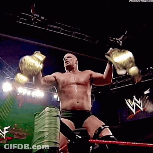 Stone Cold Steve Austin Champion GIF