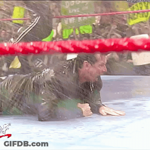Stone Cold Steve Austin Hosing Beer GIF