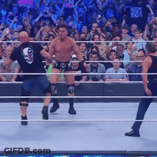Stone Cold Steve Austin Stunner GIF