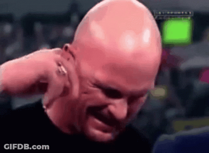 Stone Cold Steve Austin What GIF