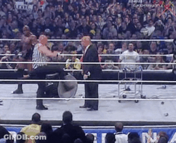 Stone Cold Stunner Donald Trump Fights GIF