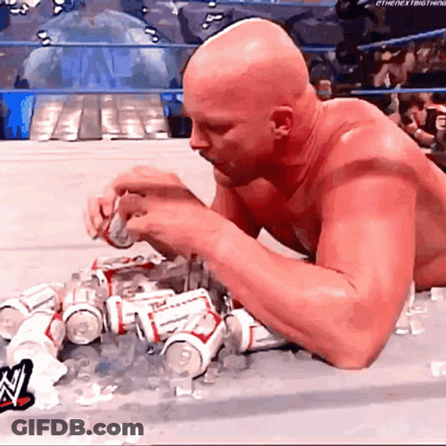 Stone Cold Stunner Drunk On The Canvass GIF