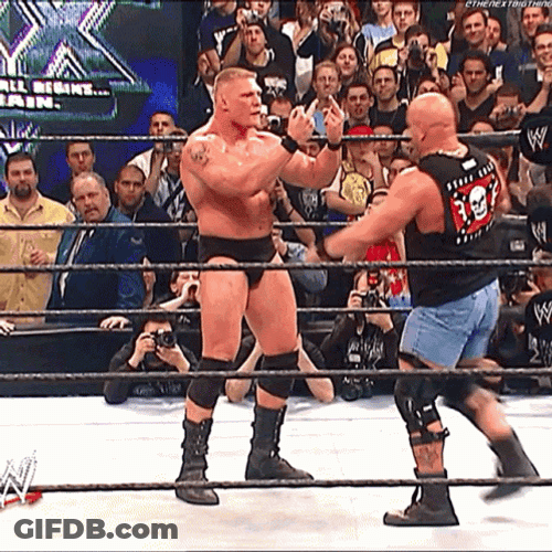 Stone Cold Stunner Kick On Brock Lesnar GIF