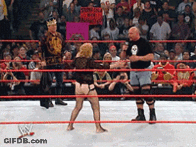 Stone Cold Stunner Linda McMahon GIF