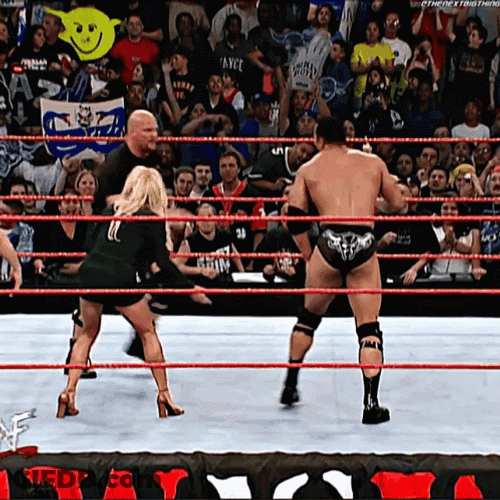 Stone Cold Stunner On Macho Busta GIF