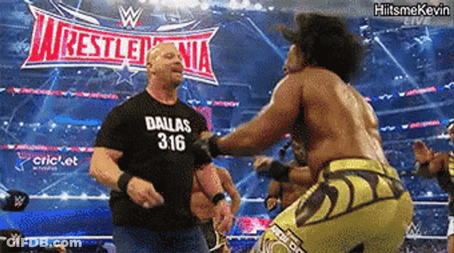 Stone Cold Stunner Steve Austin Match Wrestlemania GIF