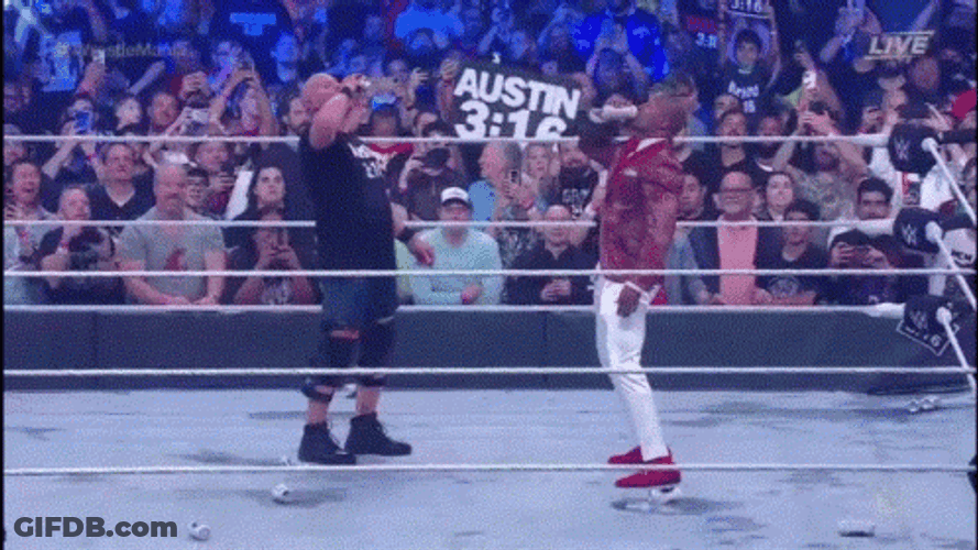 Stone Cold Stunner Steve Austin Sneak Attack GIF