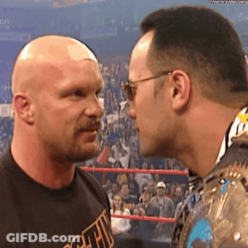 Stone Cold Stunner The Rock Face Off GIF