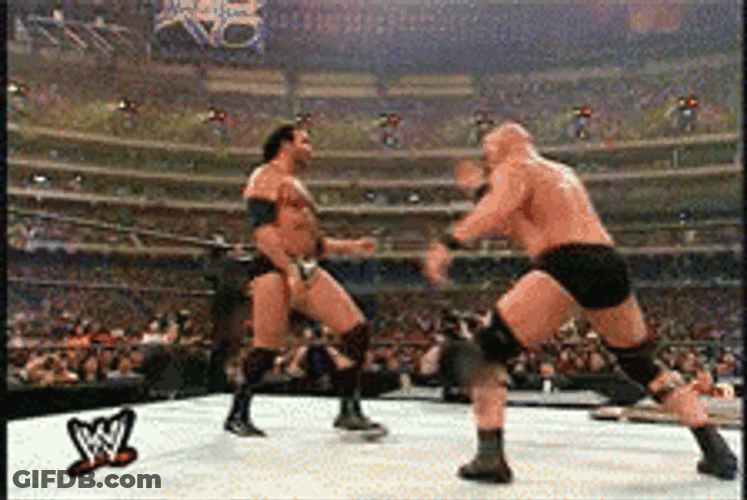 Stone Cold Stunner WWE World Wrestling GIF