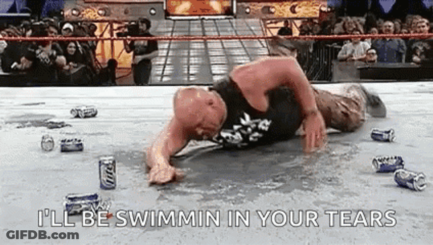 Stone Cold Swimming In Beer GIF