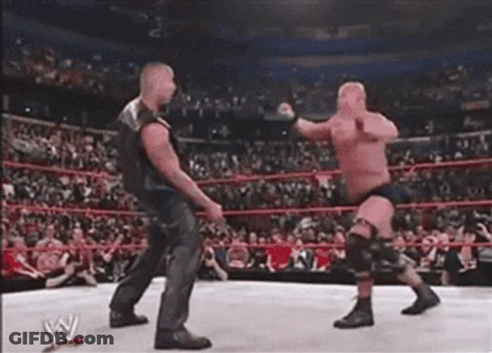 Stone Cold Versus The Rock Stunner Move GIF